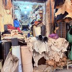 Photo taken by Patricia O