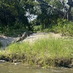 Photo taken by Michael Z