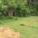 Photo taken by Anisha L