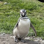 Photo taken by Yelena L