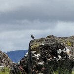 Photo taken by PETER S