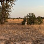 Photo taken by Chris K