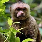 Photo taken by Sophie F