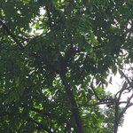 Photo taken by Darla D