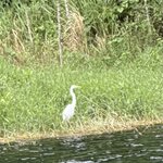 Photo taken by Morton A