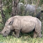 Photo taken by rhonda c