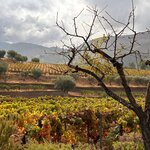 Photo taken by Raquel K