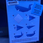 Photo taken by Paula M