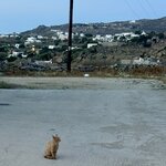 Photo taken by Kendall S