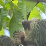 Photo taken by Chris H