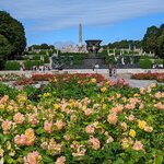 Photo taken by Dani L