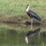 Photo taken by Graham D