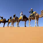 Photo taken by Hillel S