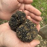 Photo taken by Stephen P