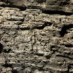 Photo taken by Meg K