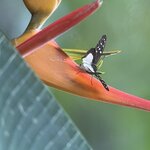 Photo taken by Blair H