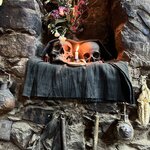 Photo taken by Melanie M