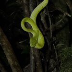 Photo taken by Cindy R