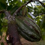 Photo taken by Sabine V