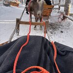 Photo taken by Raylene C