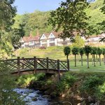 Gidleigh Park | Photo taken by Steven Lee J