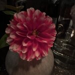 Photo taken by Ellen D