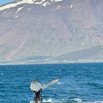 Photo taken by Cassandra M