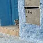 Photo taken by Kris C