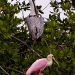 Photo taken by Sabine V