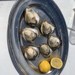 Fresh Oysters | Photo taken by Patti O