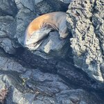 Photo taken by Gary W