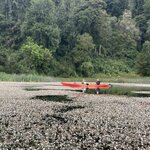 Photo taken by Rob G