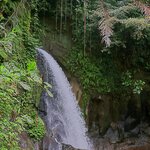 Photo taken by Laurence S