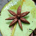 Photo taken by Mordechay T