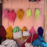 Photo taken by Mary Kate C