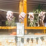 Photo taken by Ingenie D