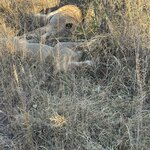 Photo taken by Chris K