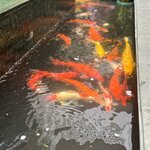 Photo taken by Nicki P