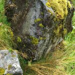 Photo taken by Tamara N