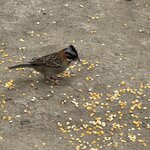 Photo taken by Emily F