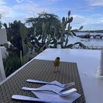 Photo taken by Ben S