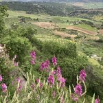 Photo taken by Gary G