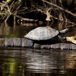 Photo taken by Sabine V