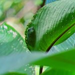 Photo taken by Garritt V