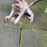 Photo taken by Kim L