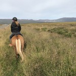 Riding Icelandic horses at Stori Bakki.  | Photo taken by Whitney S