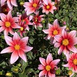 Photo taken by Linda F