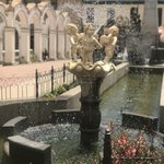 Photo taken by alton r