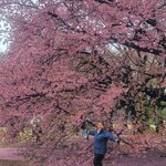 Photo taken by Hector R