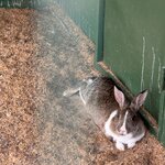 Photo taken by Ben B